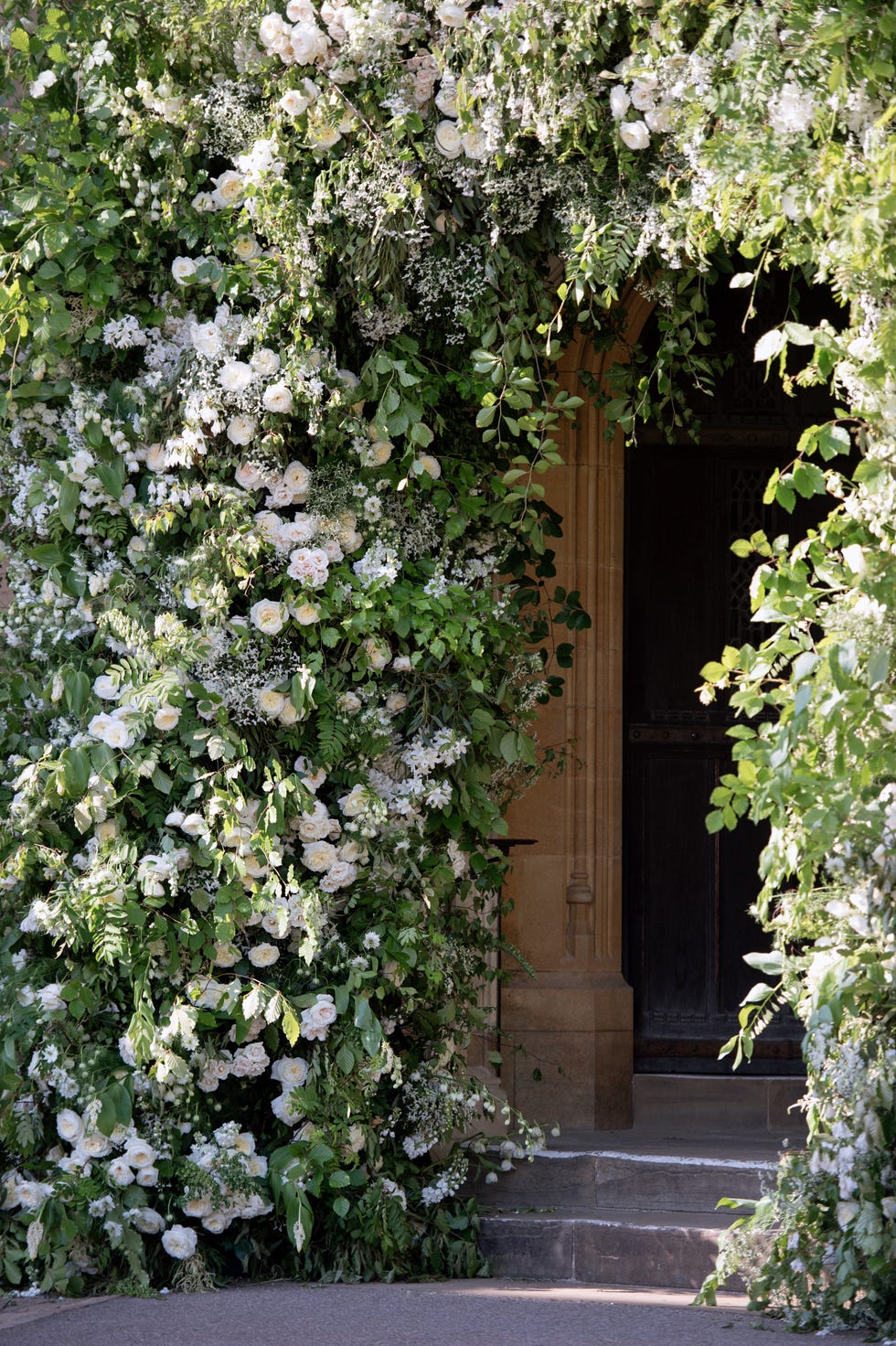 Plant, Tree, Flower, Botany, Shrub, Architecture, Spring, Ivy, Door, Vine, 