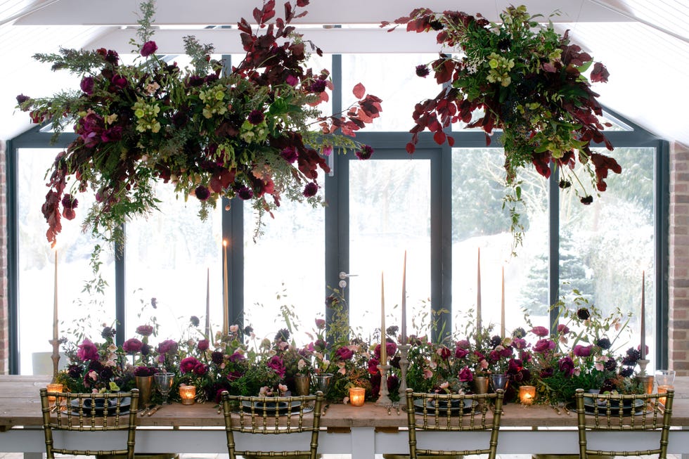 Flowerpot, Flower, Plant, Floristry, Floral design, Flower Arranging, Christmas decoration, Houseplant, Architecture, Tree, Flowerpot, Flower, Plant, Floristry, Floral design, Flower Arranging, Christmas decoration, Houseplant, Architecture, Tree,
