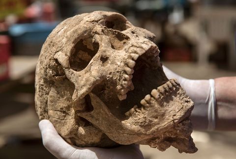 Uit het DNA van individuen die op de archeologische vindplaats lagen begraven bleek dat Filistijnen vaak buiten hun eigen gemeenschap huwden