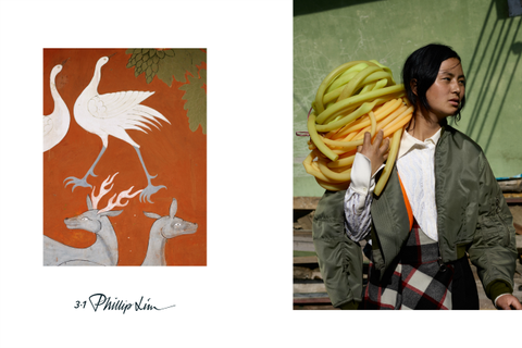 a 2015 ad campaign shot in bhutan