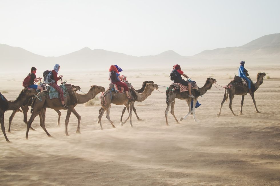 Camel, Camelid, Arabian camel, Mammal, Natural environment, Desert, Sand, Mode of transport, Landscape, Sahara, 