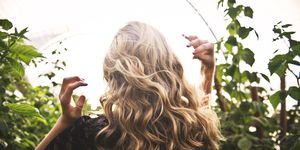 Hair, Blond, Hairstyle, Long hair, Beauty, Leaf, Sunlight, Brown hair, Botany, Tree, 
