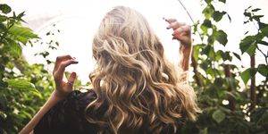 Hair, Blond, Hairstyle, Long hair, Beauty, Leaf, Sunlight, Brown hair, Botany, Tree, 