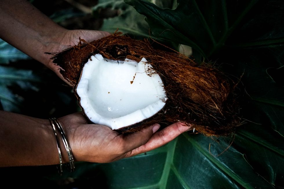 Coconut, Hand, 