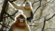 Wildlife Film Festival Rotterdam 2022