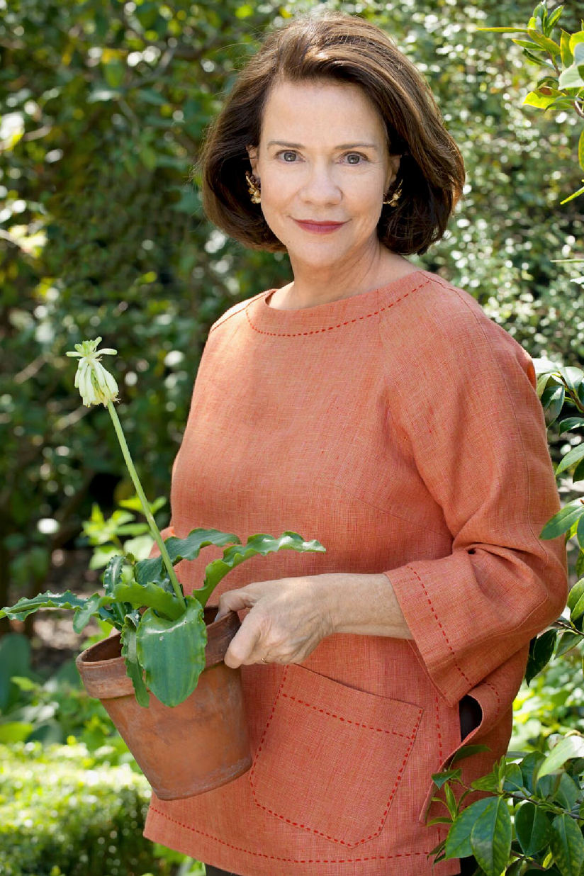 suzanne rheinstein