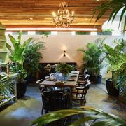 Property, Building, Room, Botany, Resort, Interior design, Real estate, Lobby, Tree, Houseplant, Property, Building, Room, Botany, Resort, Interior design, Real estate, Lobby, Tree, Houseplant,