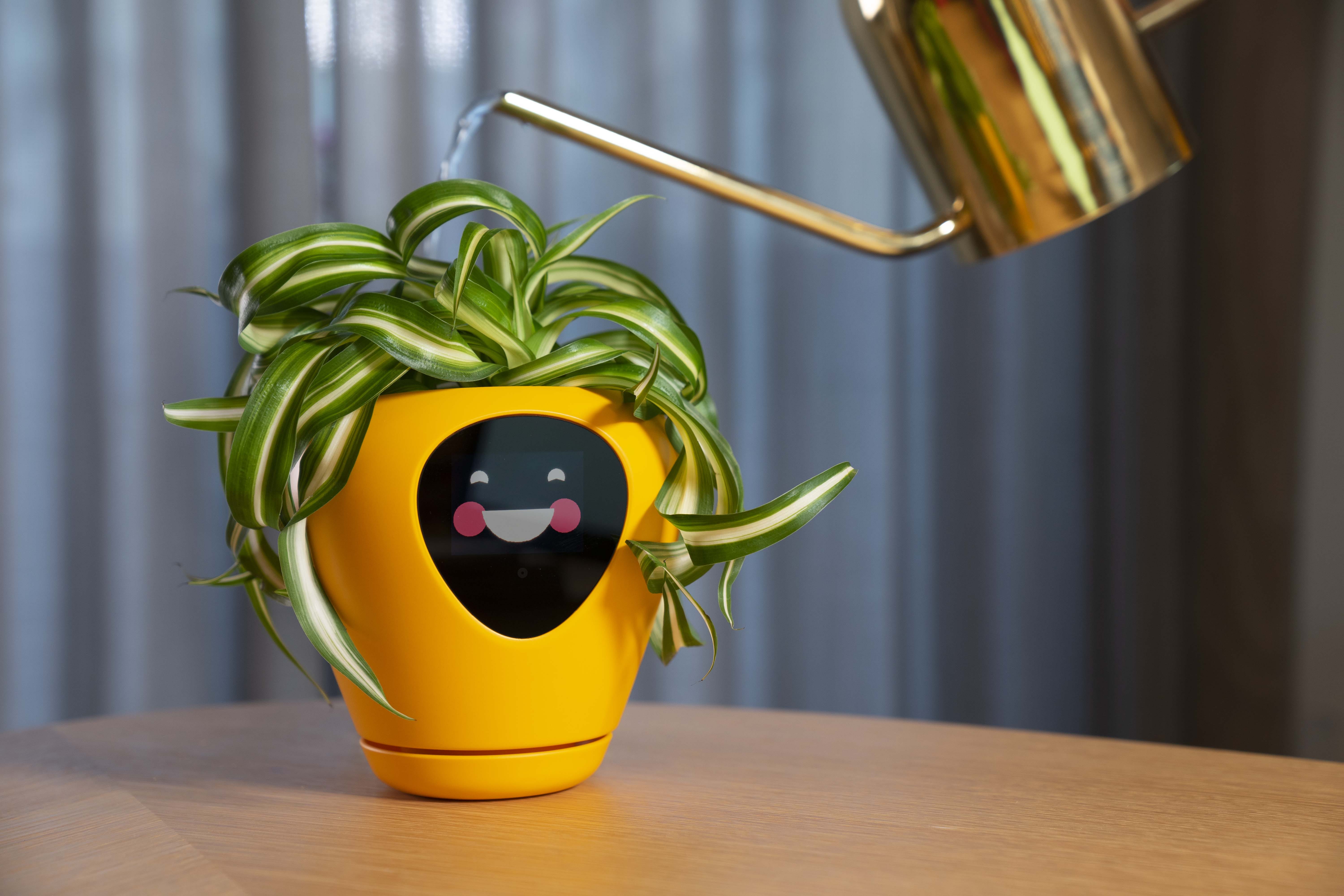 Cuida tus plantas como con los Tamagotchi