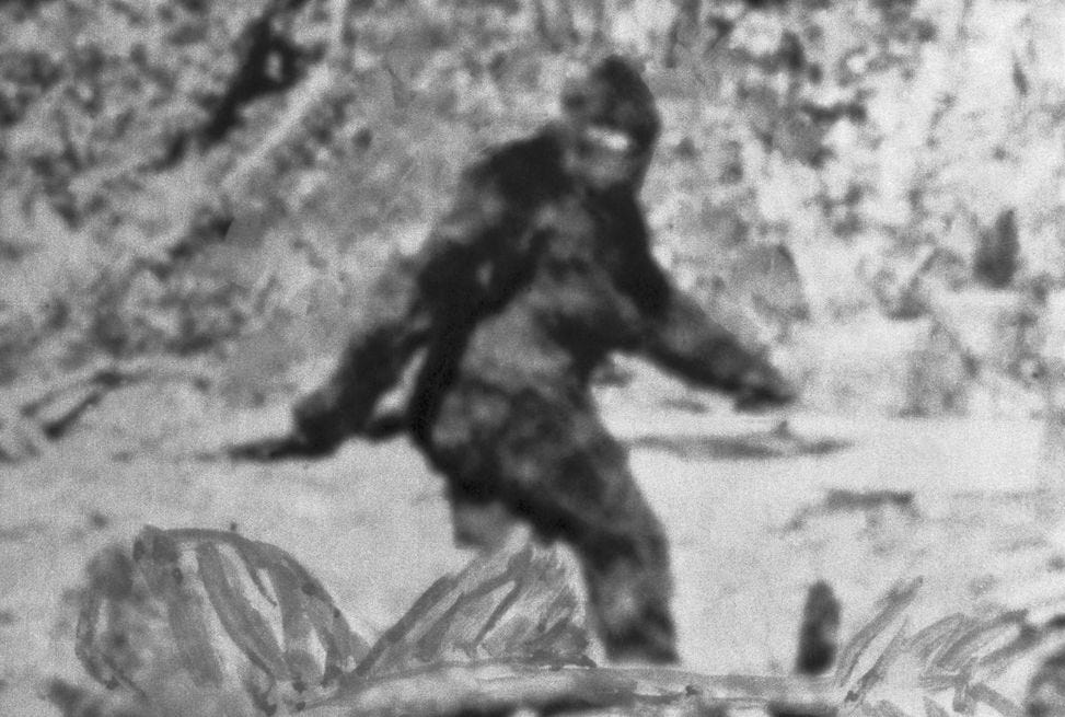 alleged photo of bigfoot