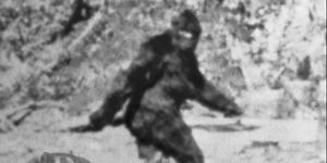 Alleged Photo of Bigfoot