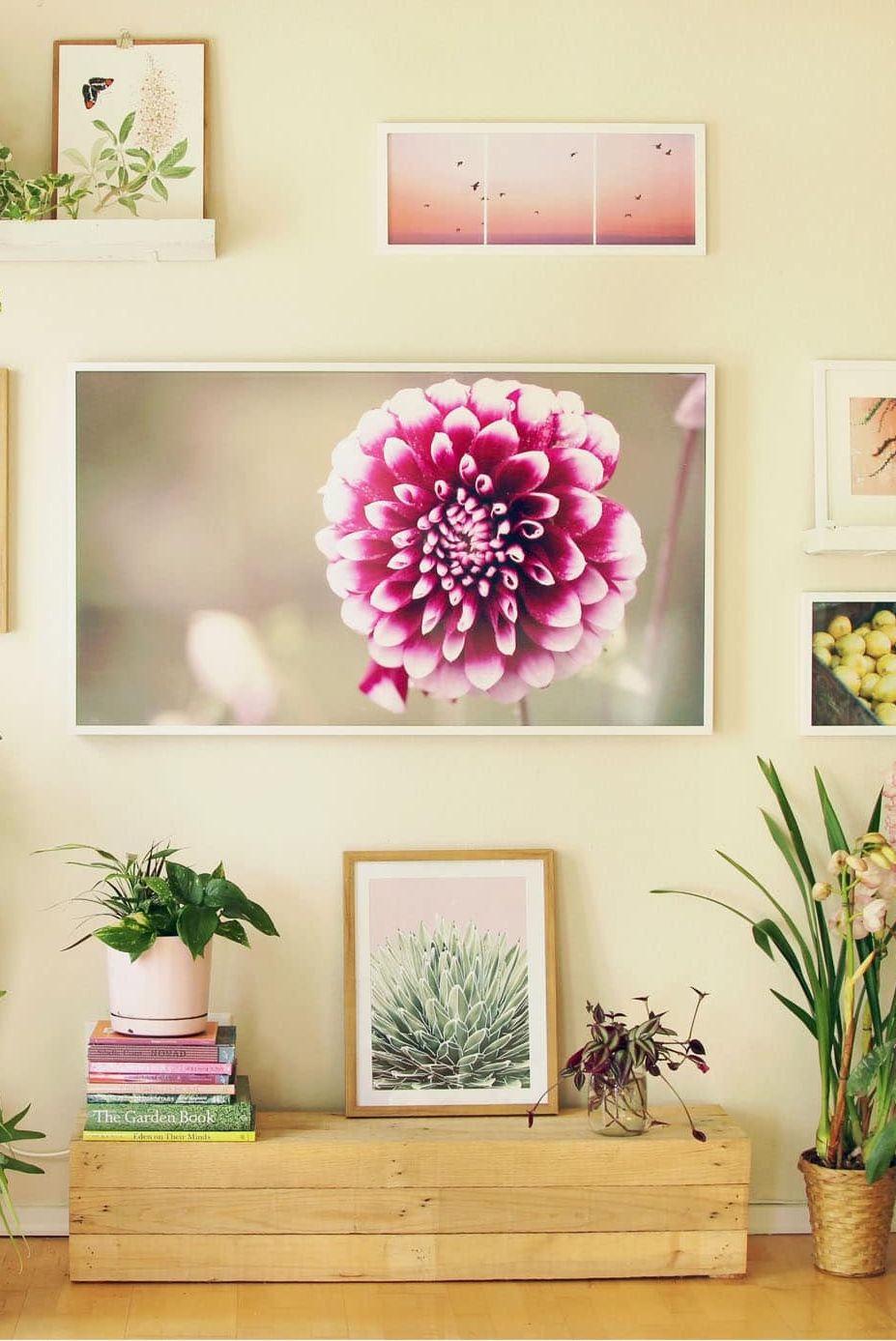 family photo wall ideas, wall with nature inspired images and greenery