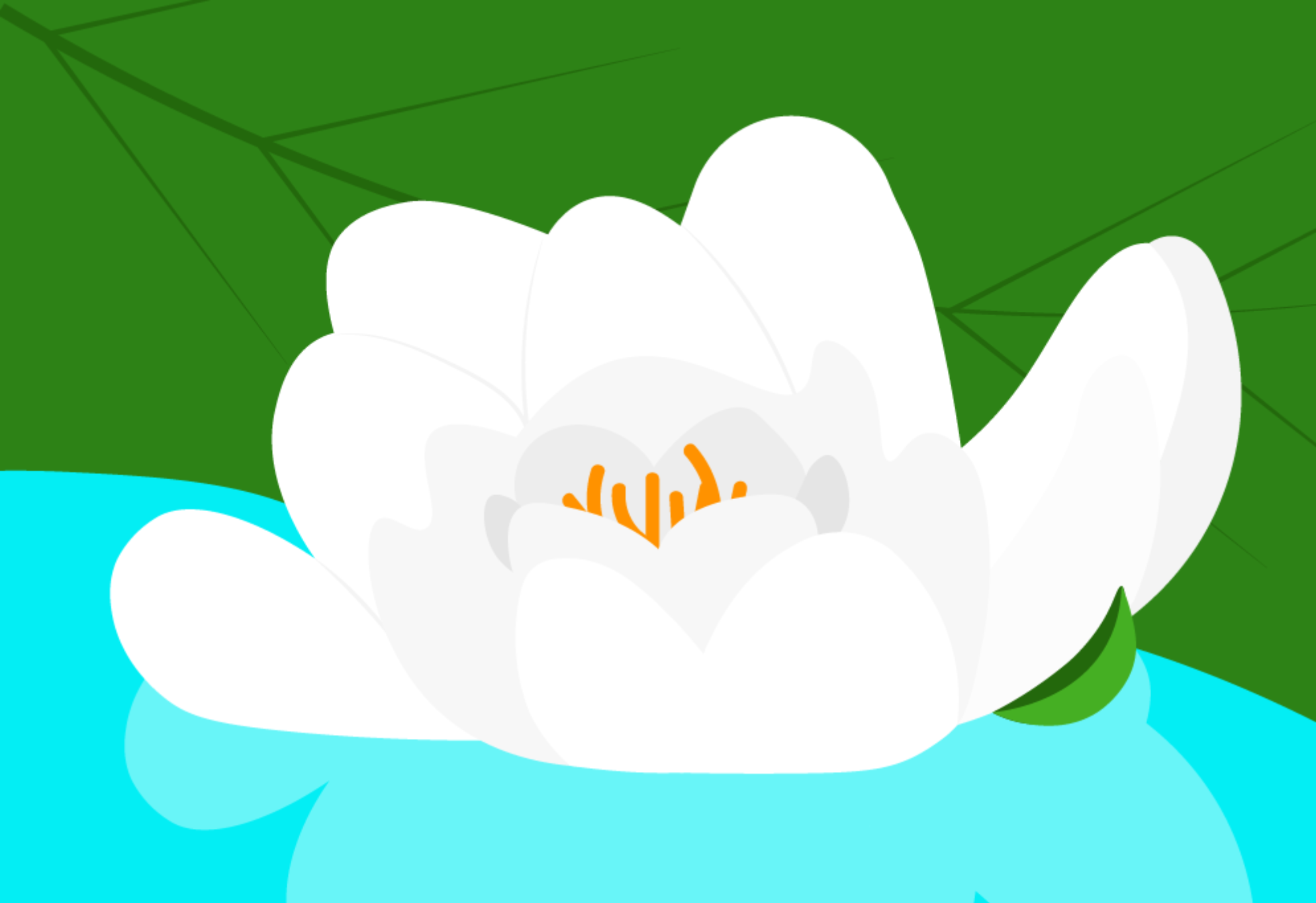 a photo vector of a white flower floating in water