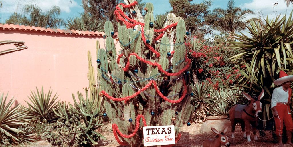 Su Amazon c'è un albero di Natale a forma di cactus che è gia il preferito di Internet