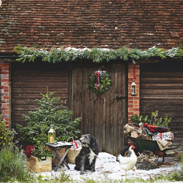 christmas wreaths and tree outside barn, dog and chicken