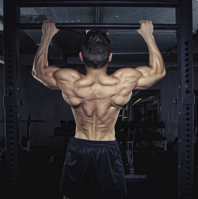 Everything You Need to Know to Build a Strong Back