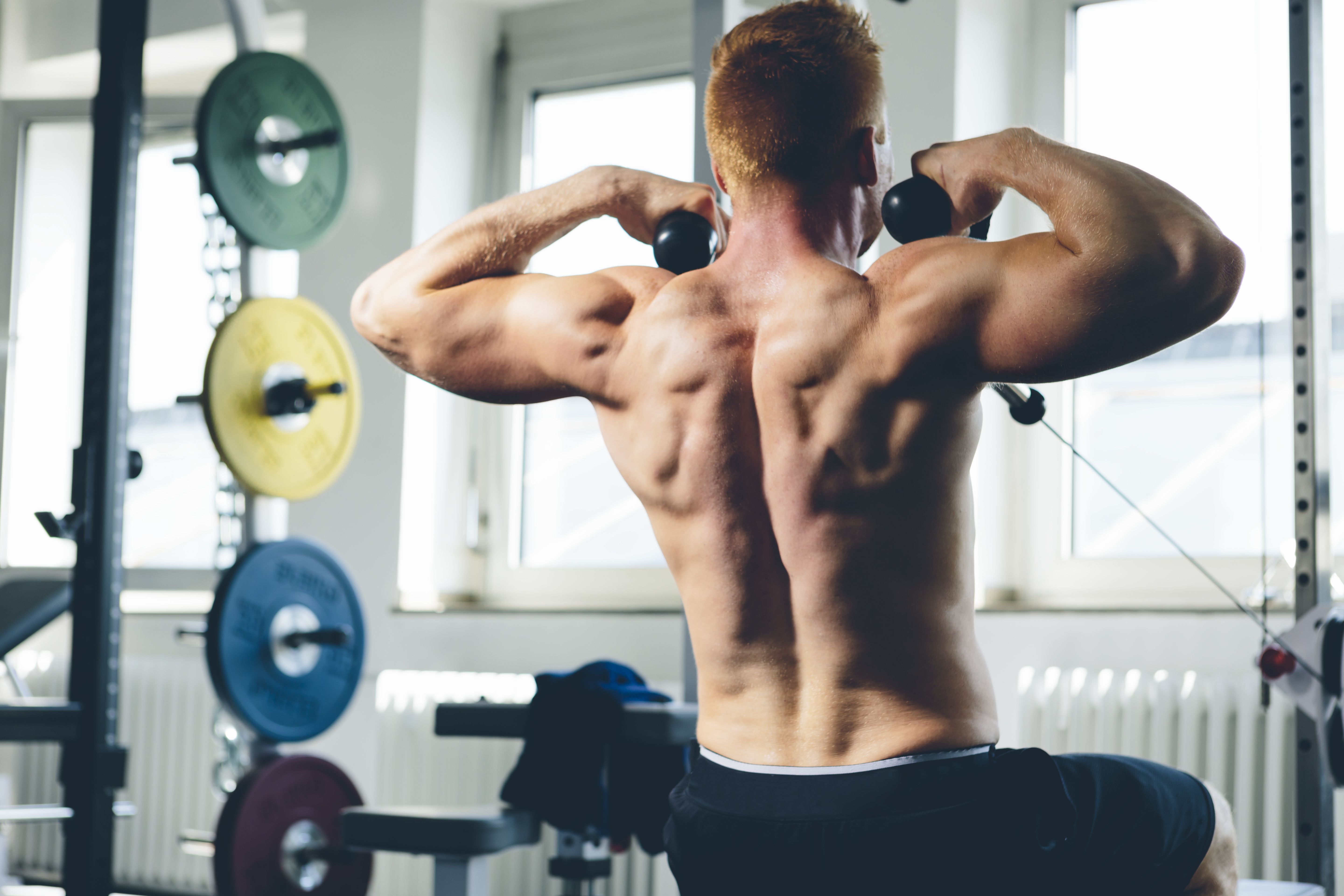 Fitness Revolution - Build big back with our complete back workout which  will hit every muscle in your back. Begin your journey to building your  wide and thick back with Fitness Experts