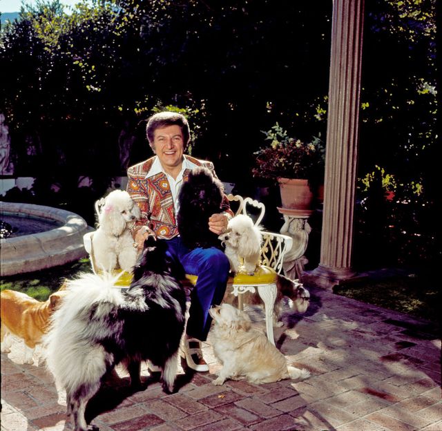 pianist, singer and actor liberace at his palm springs home with his dogs in september 1980