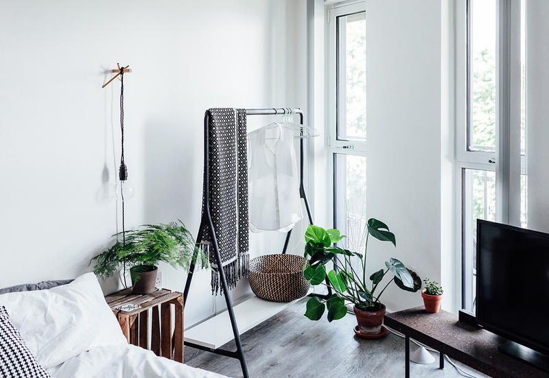 Green, Room, Houseplant, Furniture, Interior design, Wall, Home, House, Plant, Floor, 