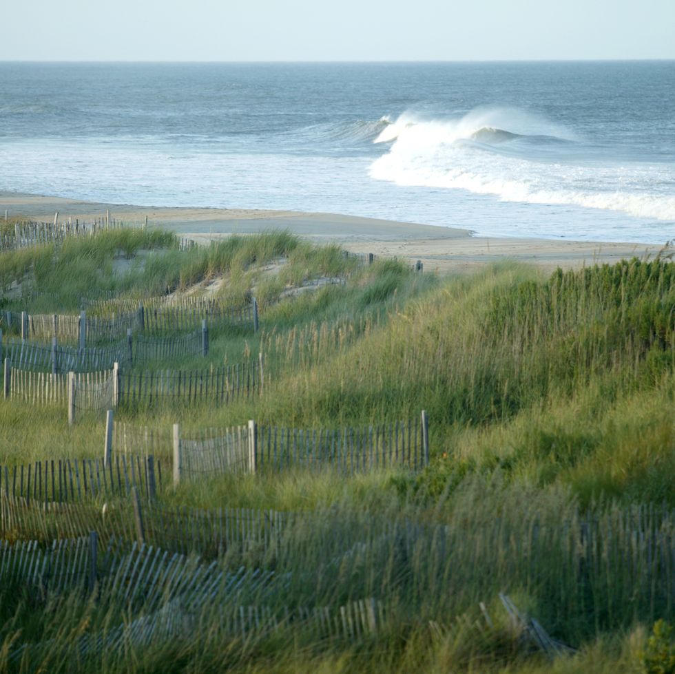 picket fences on sand dunes at beach