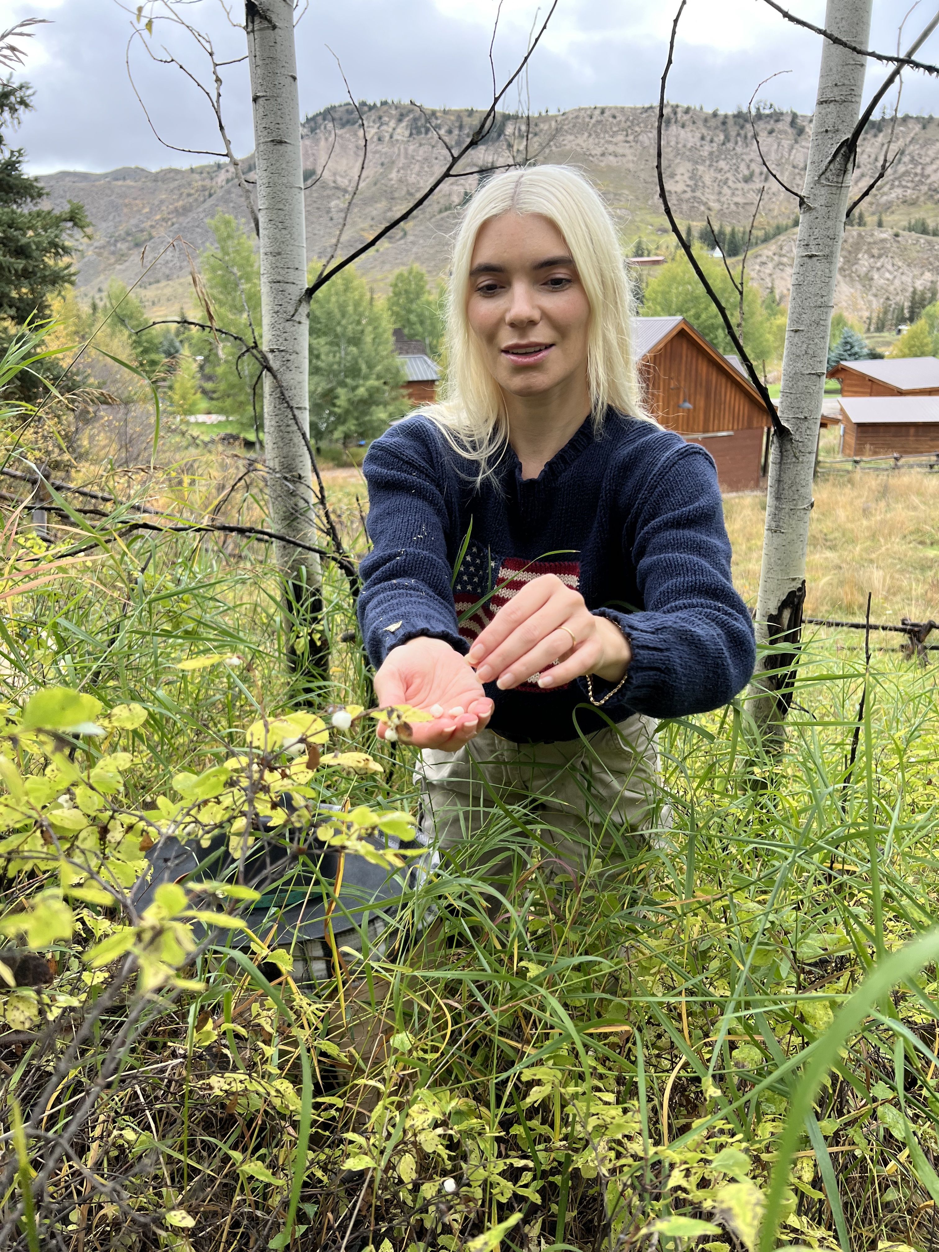 picking ghostberry for alpyn beauty