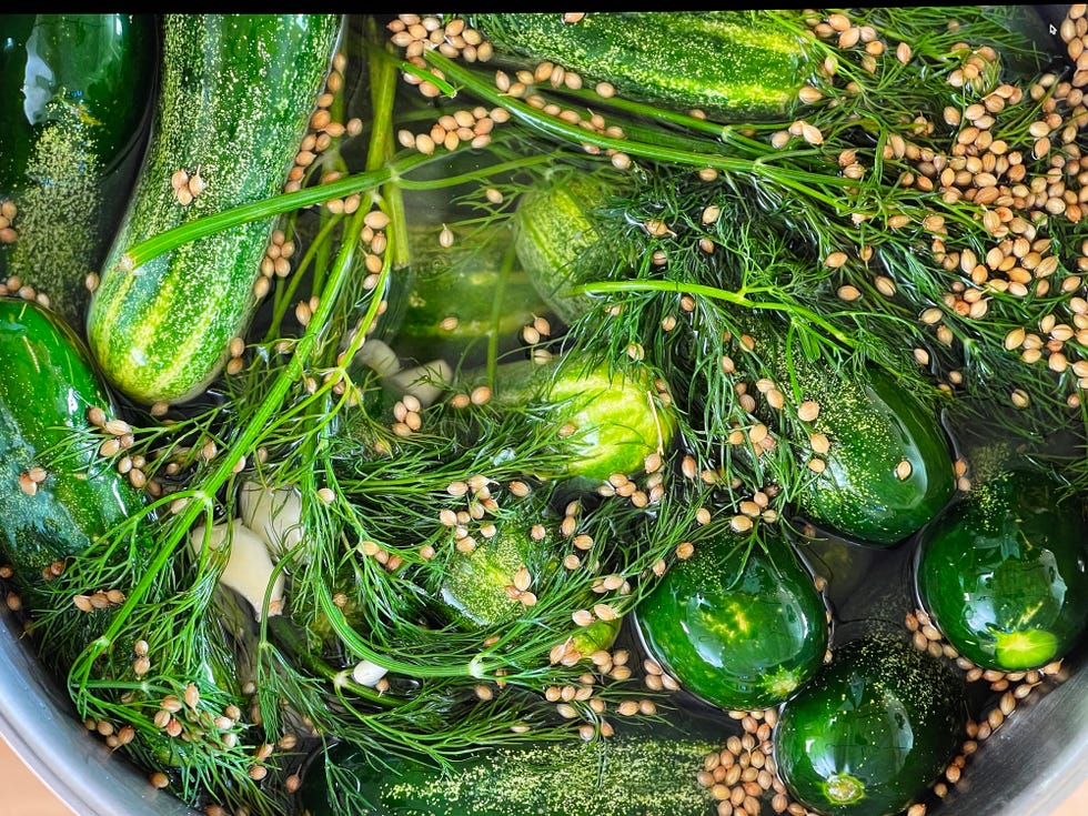 pickles in brine