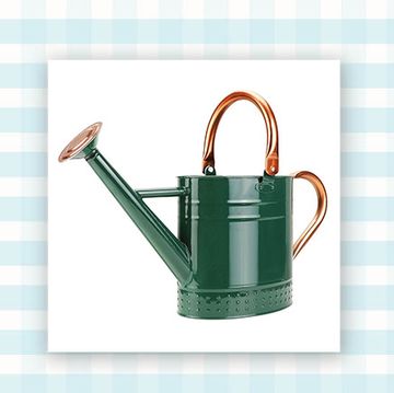 must have backyard and garden picks with watering can