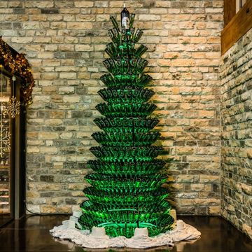 Green, Light, Tree, Architecture, Christmas ornament, Plant, Christmas decoration, Interior design, Christmas lights, Christmas tree, 