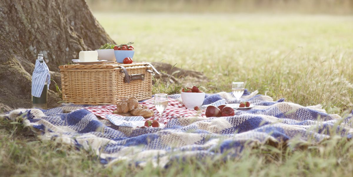 picnic and hamper beside tree in meadow