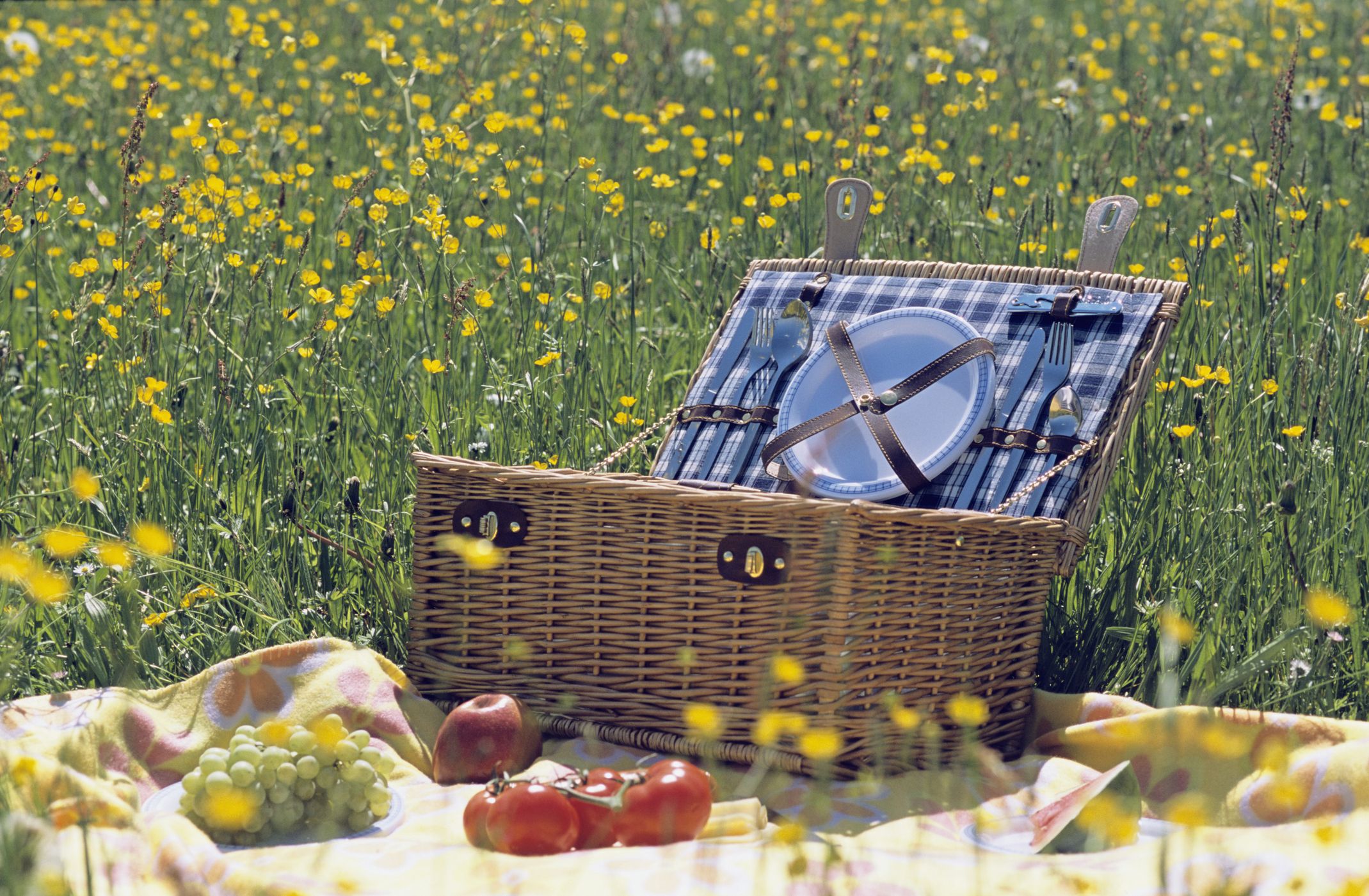 12 Best Picnic Bags: For Spring Dining Outside