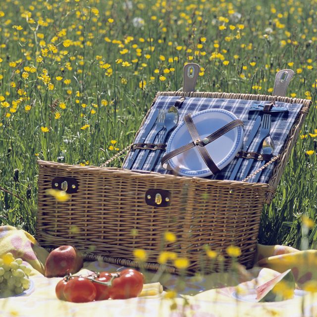 picnic bags