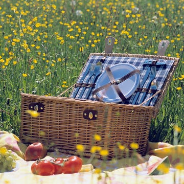 picnic basket and fruit in meadow