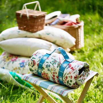 picnic blanket on a lawn on a summer day