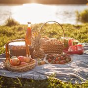 fun summer date ideas to enjoy with your partner picnic by the lake basket with berries, bread with ik