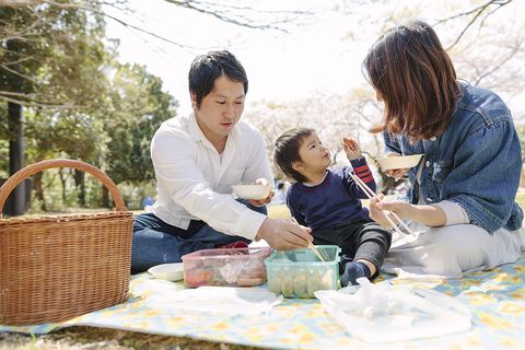 what to do for father's day family enjoying a picnic outside