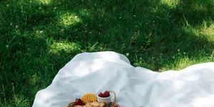 picnic with tasty and healthy food in nature nicely served picnic food in nature fruits, vegetables, cheese, jamon and croutons for a picnic spending time outdoors a white tablecloth or bedspread on the grass top view of a picnic