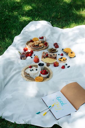 picnic with tasty and healthy food in nature nicely served picnic food in nature fruits, vegetables, cheese, jamon and croutons for a picnic spending time outdoors a white tablecloth or bedspread on the grass top view of a picnic