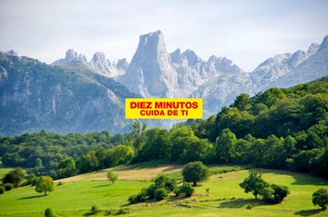 naranjo de bulnes