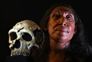 reconstructie van neanderthaler shanidar z gevonden in de shanidargrot