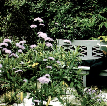 a person sitting on a bench reading a newspaper surrounded by flowers and bushes