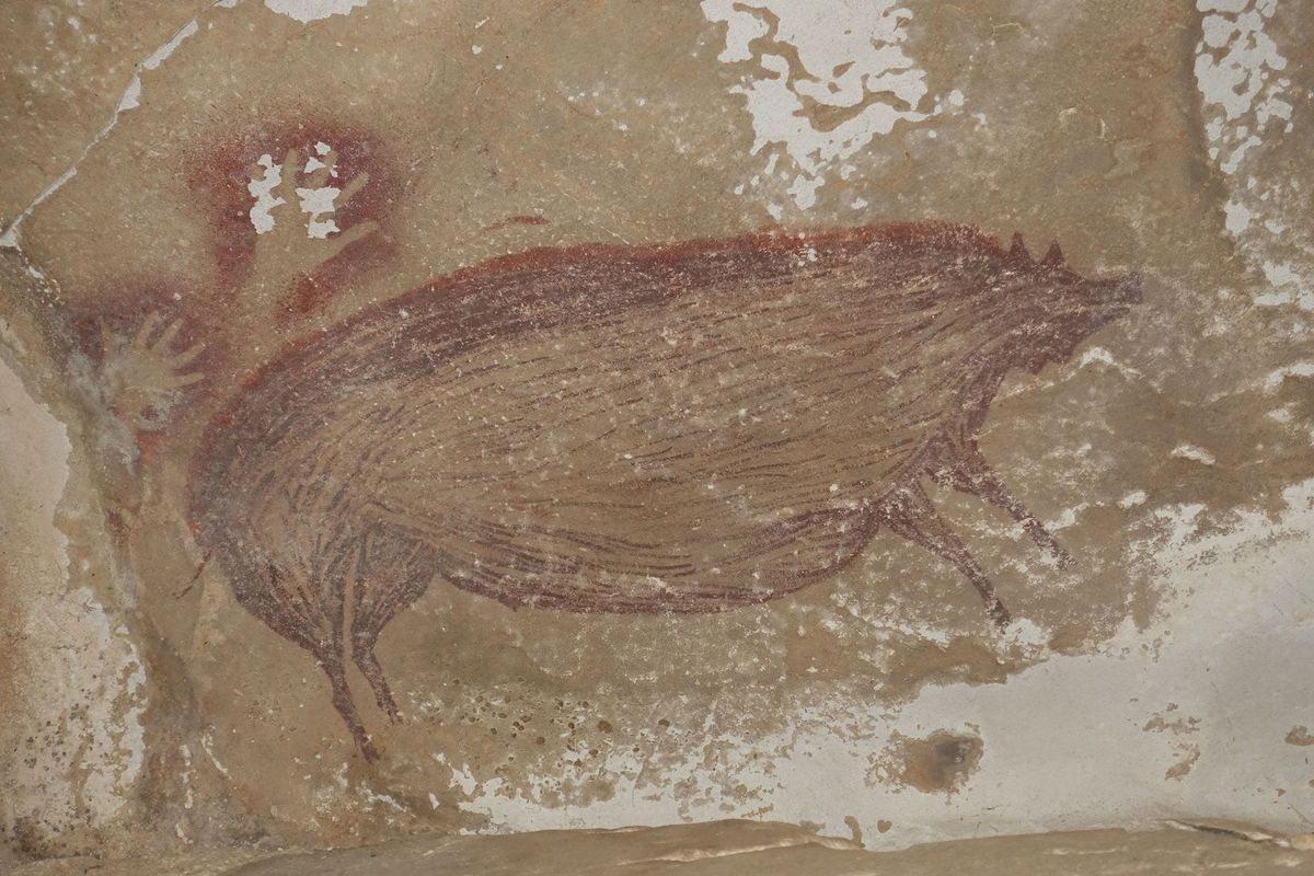 De grotschildering van een opvallend robuust varken kan erop wijzen dat de prehistorische kunstenaar in deze grot een dier wilde afbeelden dat een belangrijke rol in de jacht speelde