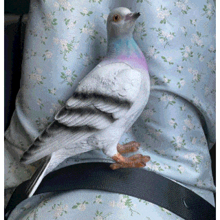 jw anderson pigeon bag