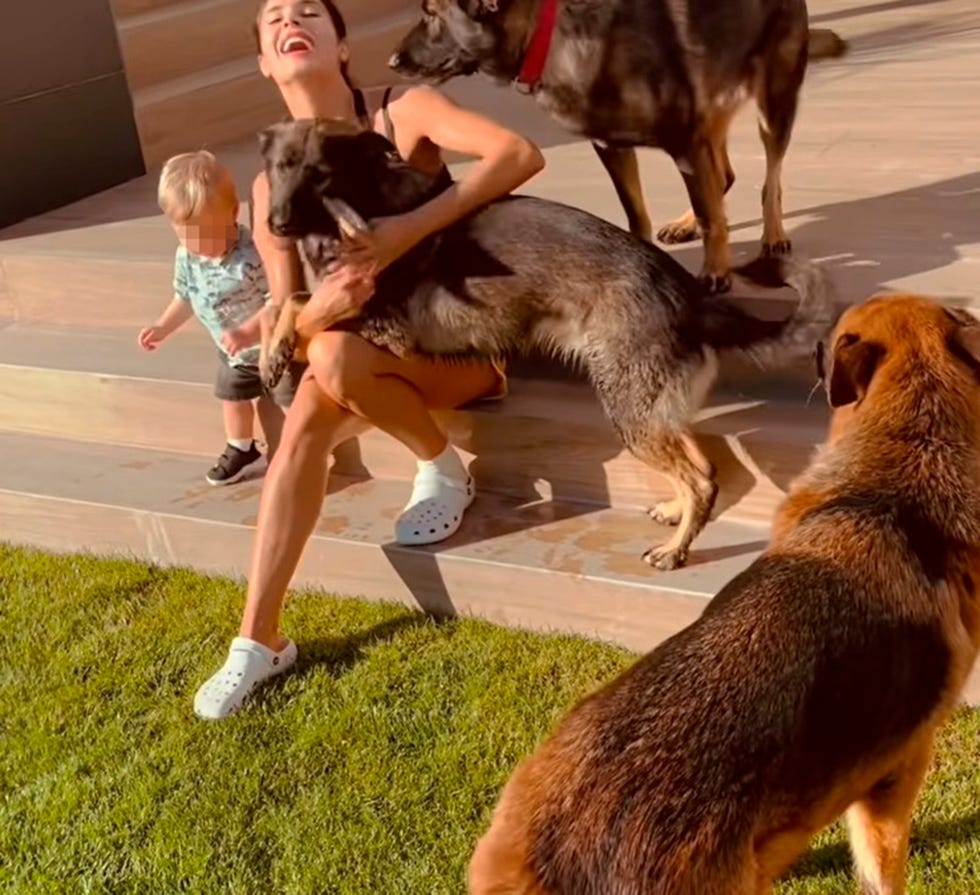 pilar rubio cepillando a sus perros