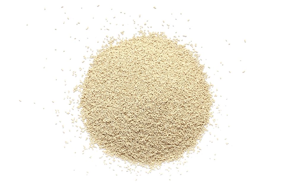 pile of dry yeast isolated on white background, top view active dry yeast on a white background, top view dry yeast granules isolated on white background dry yeast is used in baked goods