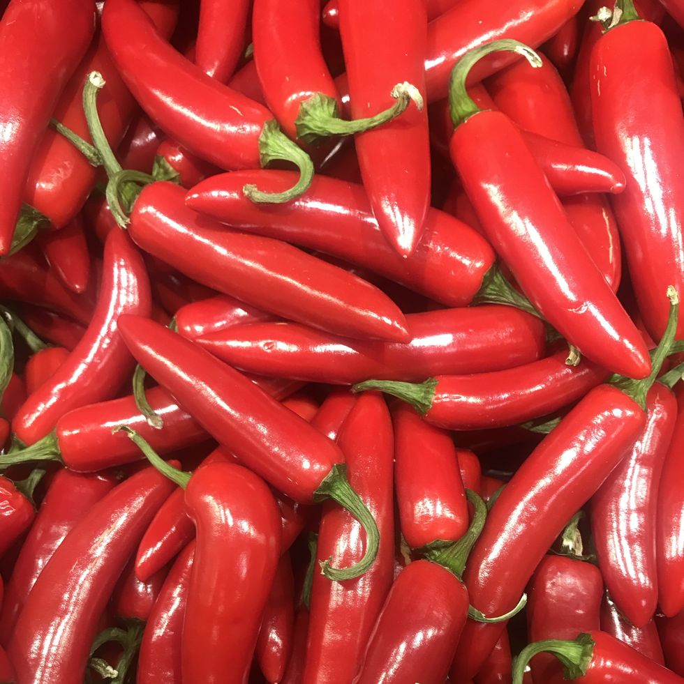 pile of organic glossy red chillis, heap of fresh chili peppers, capsicum crop, hot spicy chile varieties