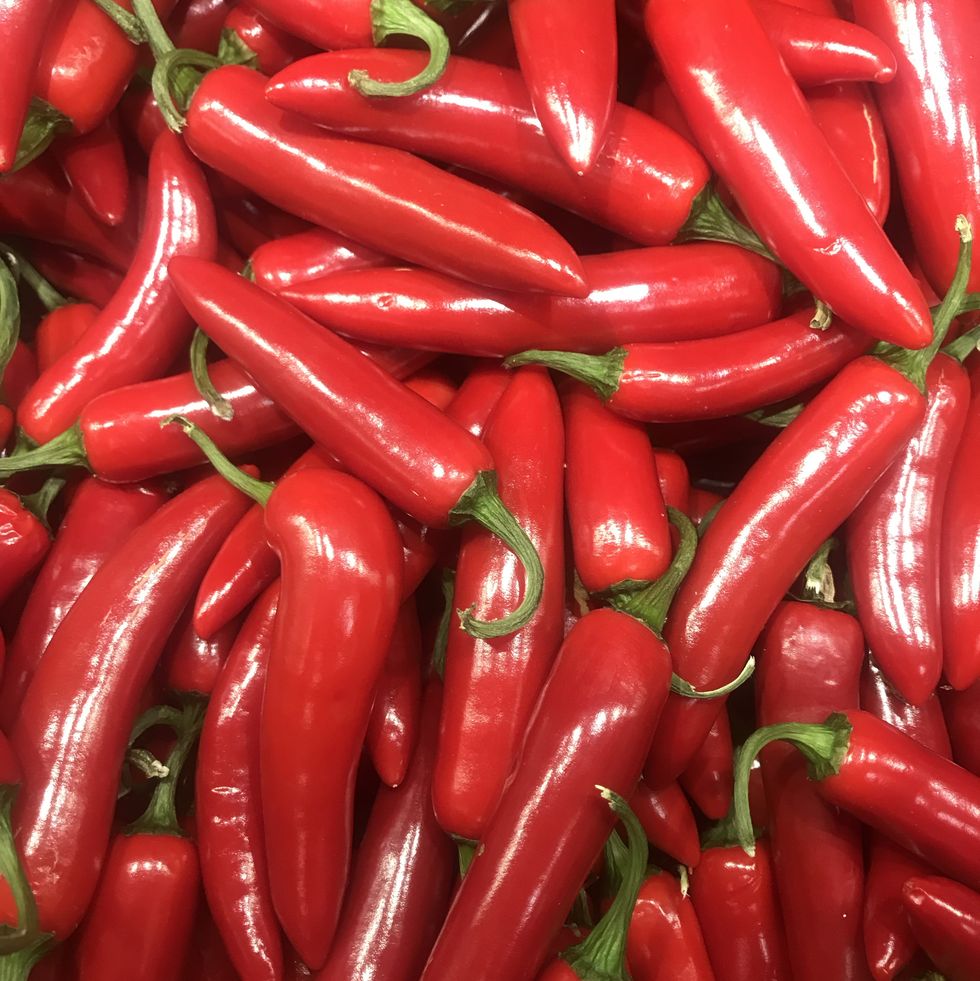 pile of organic glossy red chillis, heap of fresh chili peppers, capsicum crop, hot spicy chile varieties