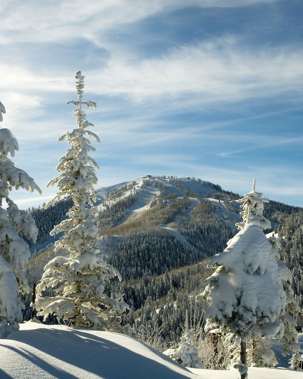 best ski resorts deer valley mountain with trees