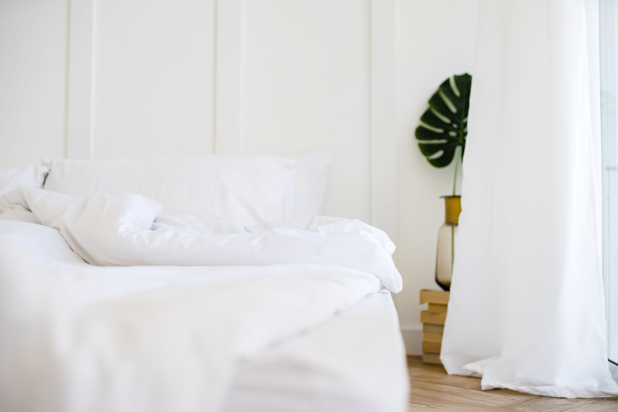 tobillo Azotado por el viento ~ lado Lo último y más suave para la cama: sábanas de bambú orgánico