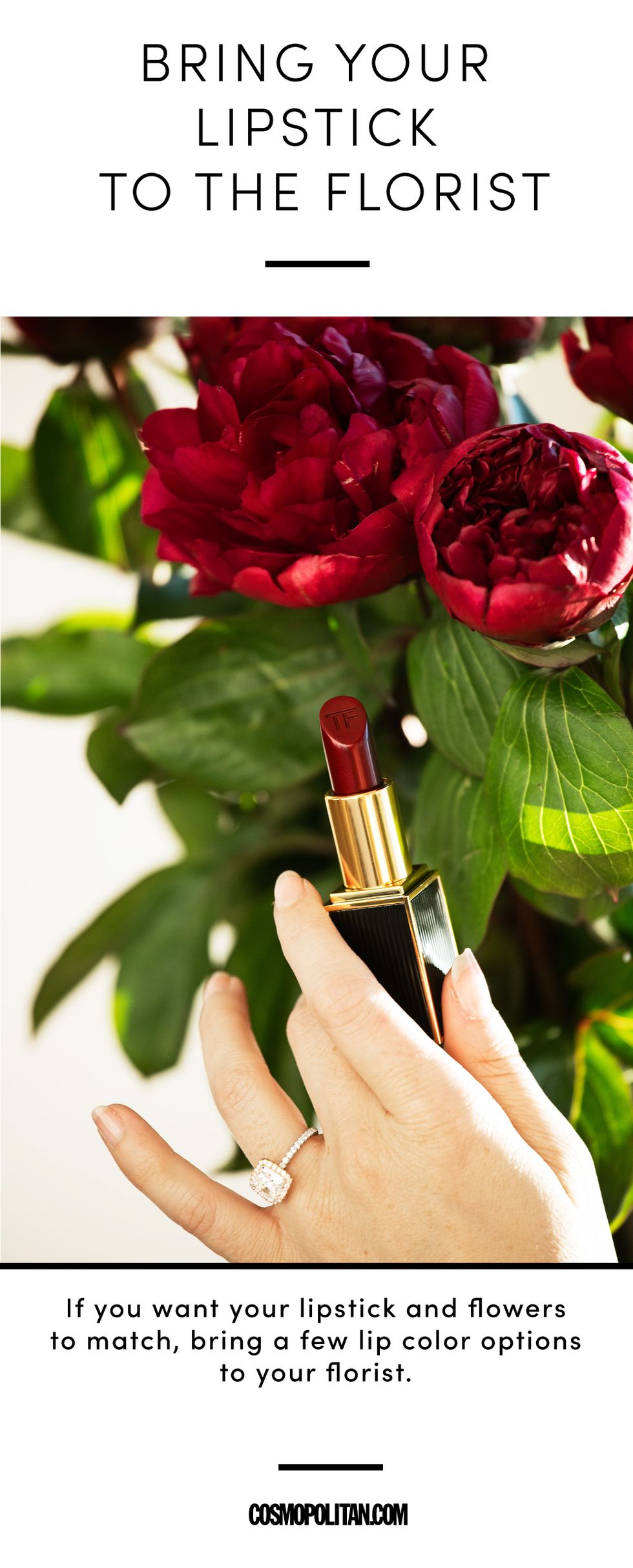 Red, Lipstick, Cosmetics, Beauty, Flower, Lip, Nail, Plant, Hand, Rose, 