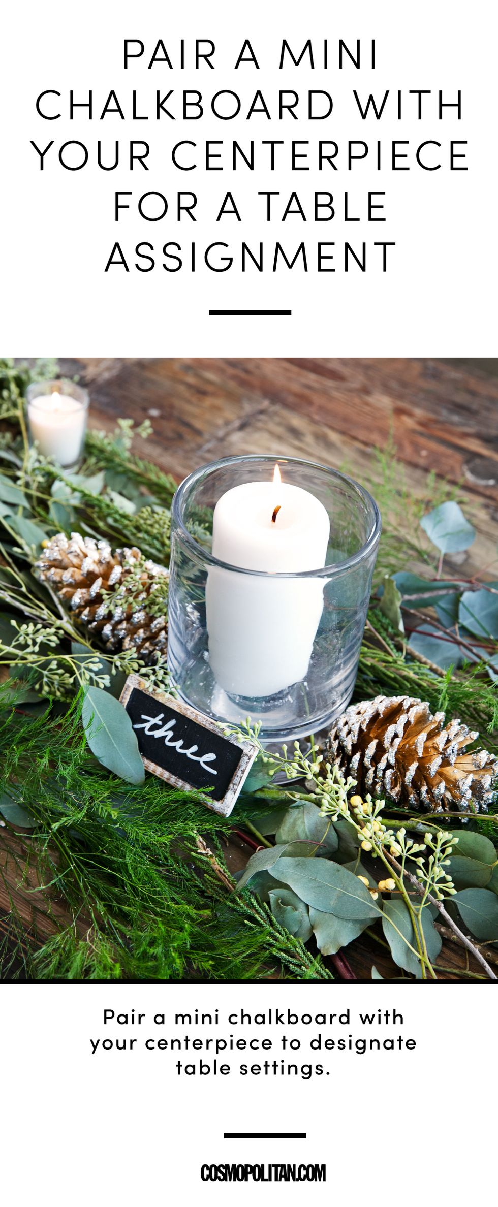 Candle, Lighting, Branch, Pine, Plant, Tree, Fir, Christmas decoration, Pine family, Vascular plant, 