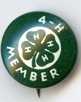 4H Member Pin
